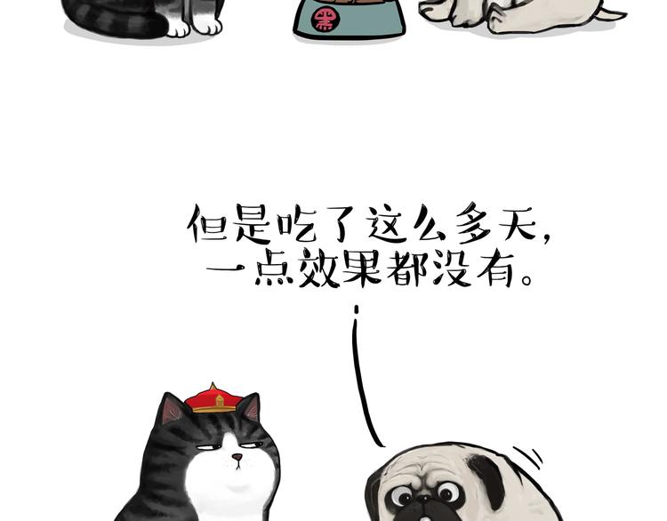 🍘吾皇巴扎黑 第125话 一只优秀的汪 第2页