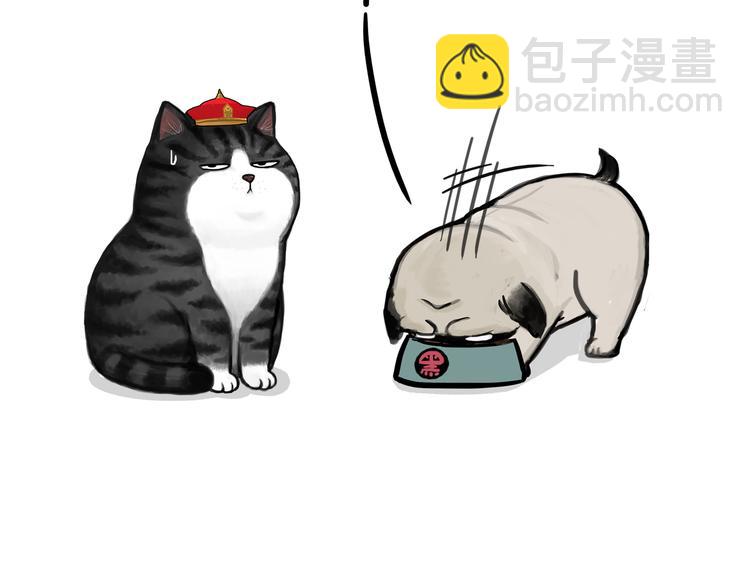 🍘吾皇巴扎黑 第125话 一只优秀的汪 第5页