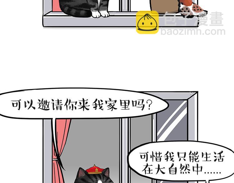 🍘吾皇巴扎黑 第129话 反射弧 第14页