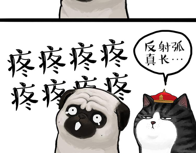 🍘吾皇巴扎黑 第129话 反射弧 第42页