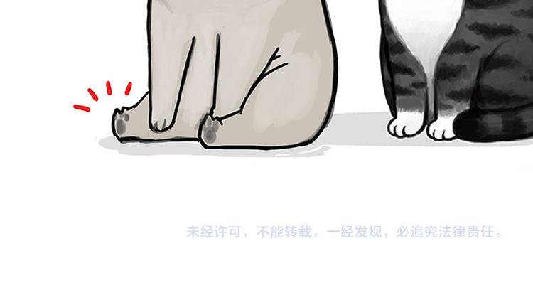 🍘吾皇巴扎黑 第129话 反射弧 第43页