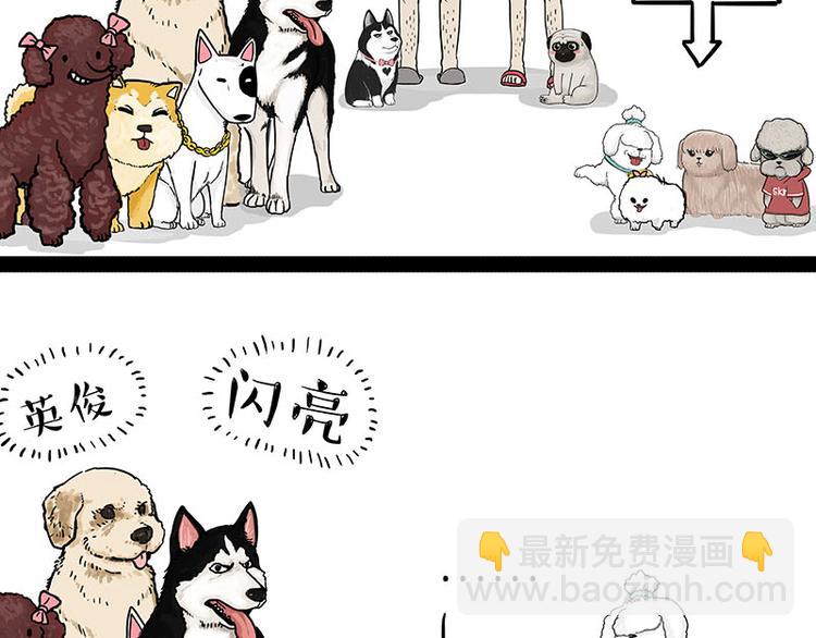 🍘吾皇巴扎黑 第131话 不争第一争口气 第12页