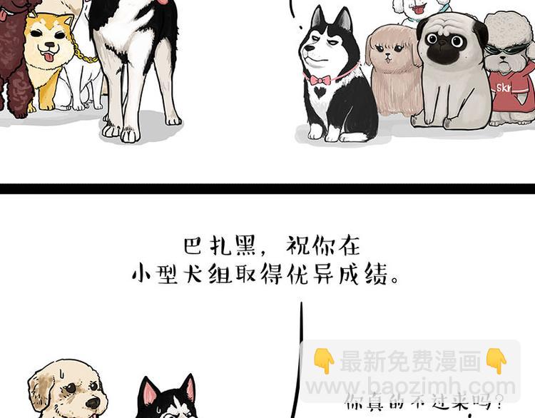 🍘吾皇巴扎黑 第131话 不争第一争口气 第13页