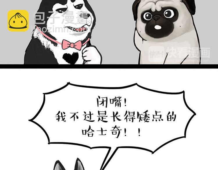 🍘吾皇巴扎黑 第131话 不争第一争口气 第15页