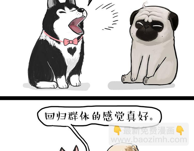 🍘吾皇巴扎黑 第131话 不争第一争口气 第16页