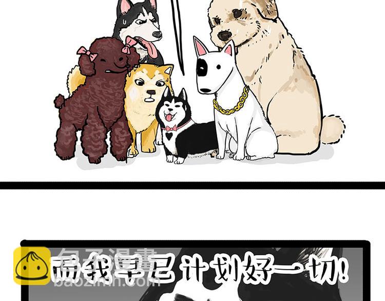🍘吾皇巴扎黑 第131话 不争第一争口气 第17页