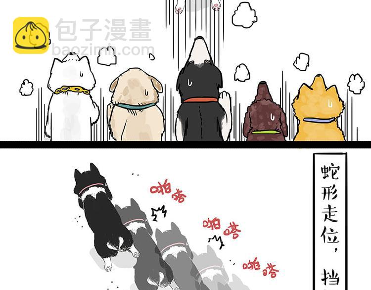 🍘吾皇巴扎黑 第131话 不争第一争口气 第19页