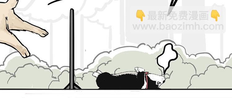 🍘吾皇巴扎黑 第131话 不争第一争口气 第30页