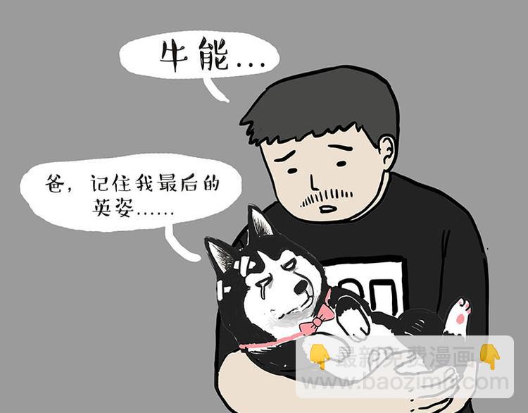🍘吾皇巴扎黑 第131话 不争第一争口气 第40页