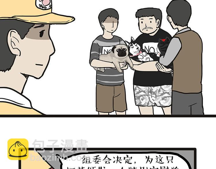 🍘吾皇巴扎黑 第131话 不争第一争口气 第43页