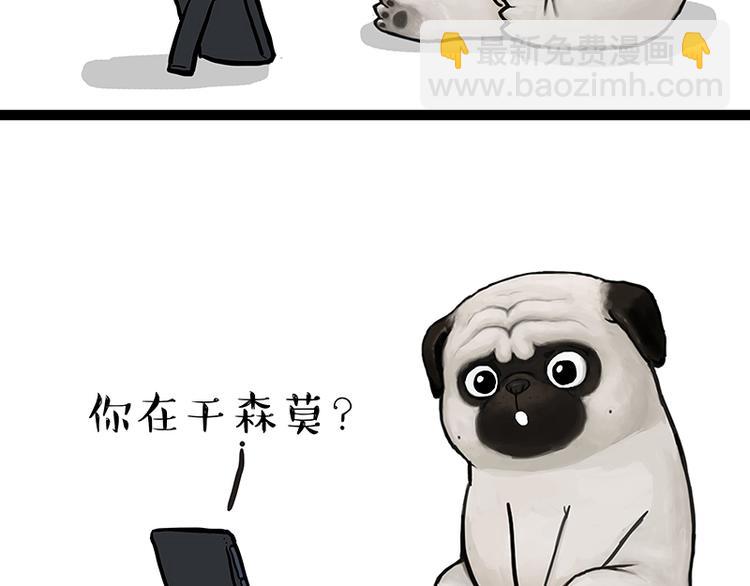 🍘吾皇巴扎黑 第133话 视频通话 第16页