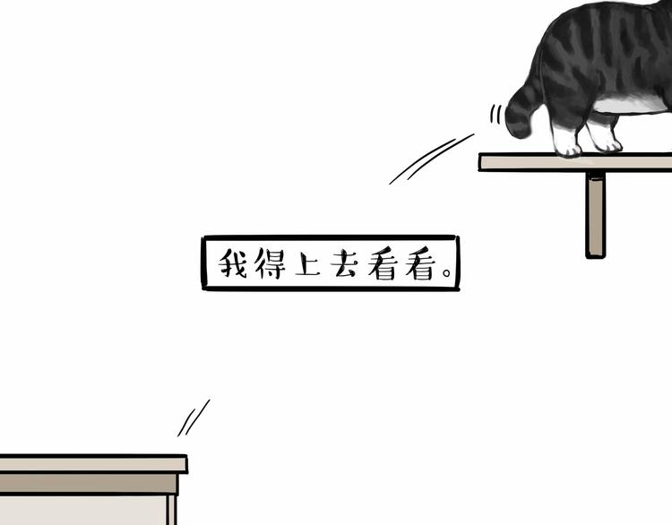 🍘吾皇巴扎黑 第135话 造物主也会失误 第35页