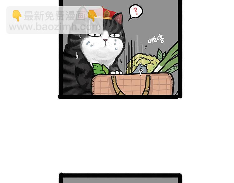 🍘吾皇巴扎黑 第137话 泪水，止不住 第10页