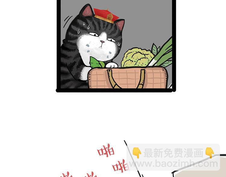 🍘吾皇巴扎黑 第137话 泪水，止不住 第11页