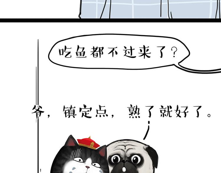 🍘吾皇巴扎黑 第137话 泪水，止不住 第14页
