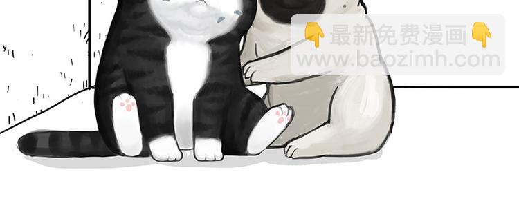 🍘吾皇巴扎黑 第137话 泪水，止不住 第15页