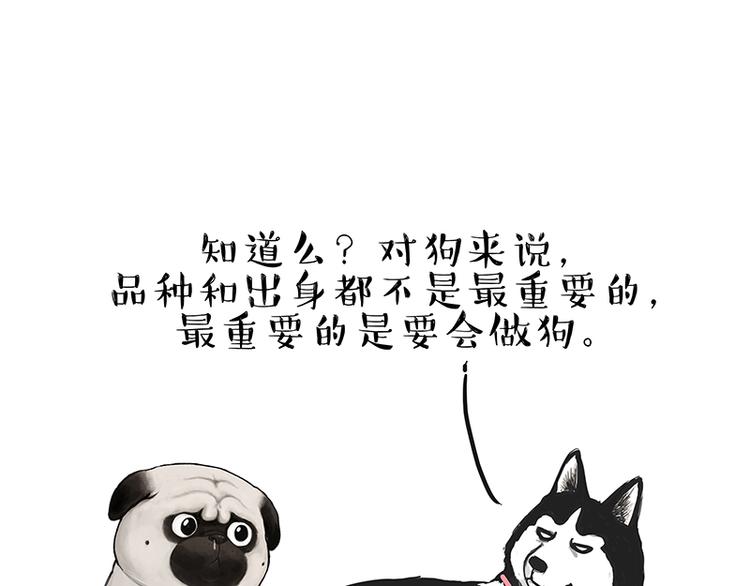 🍘吾皇巴扎黑 第137话 泪水，止不住 第16页