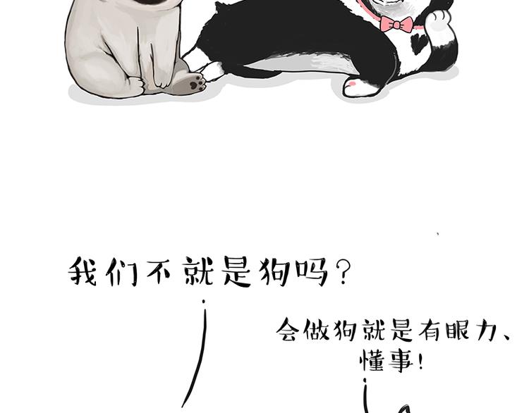 🍘吾皇巴扎黑 第137话 泪水，止不住 第17页