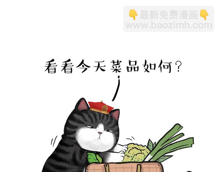 🍘吾皇巴扎黑 第137话 泪水，止不住 第3页