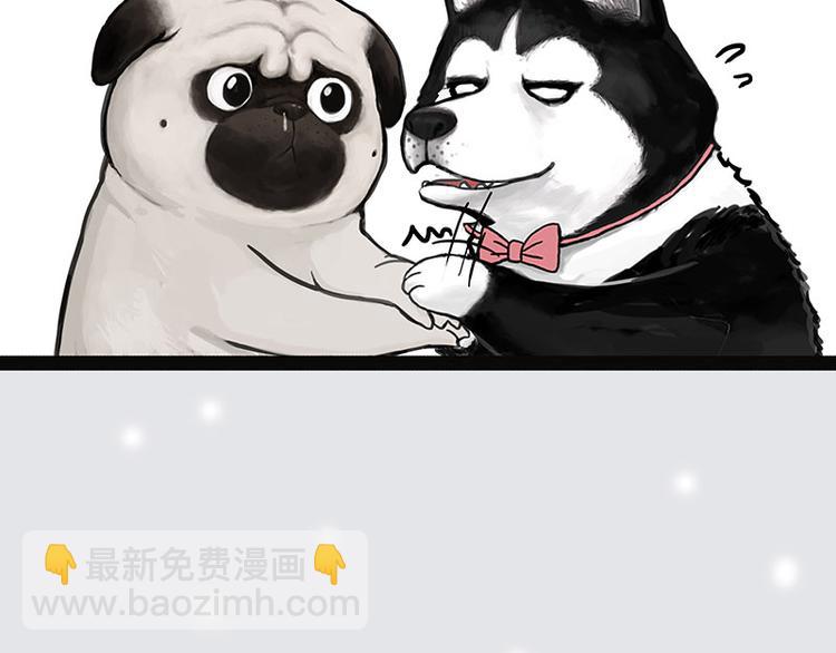 🍘吾皇巴扎黑 第137话 泪水，止不住 第44页