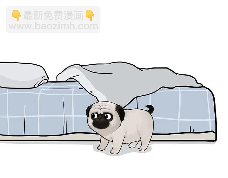 🍘吾皇巴扎黑 第137话 泪水，止不住 第48页