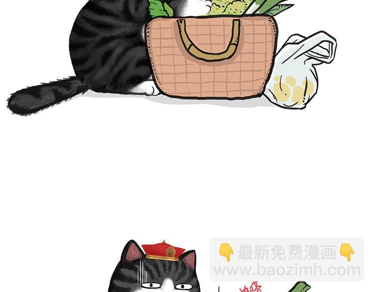 🍘吾皇巴扎黑 第137话 泪水，止不住 第5页