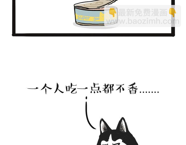 🍘吾皇巴扎黑 第139话 作者的死角 第17页