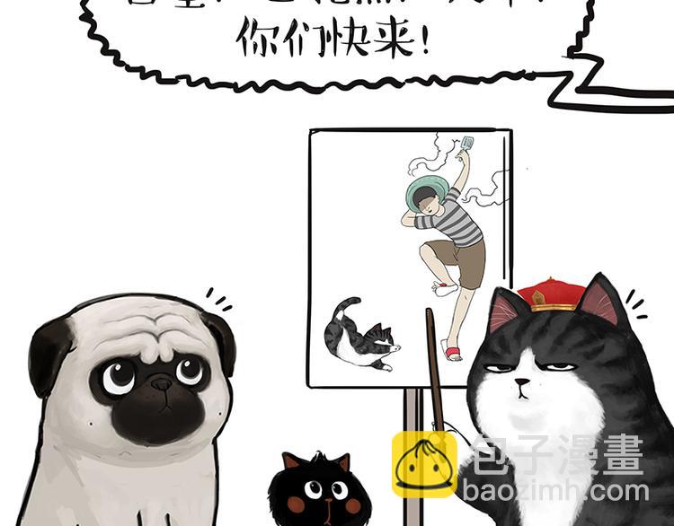 🍘吾皇巴扎黑 第139话 作者的死角 第19页