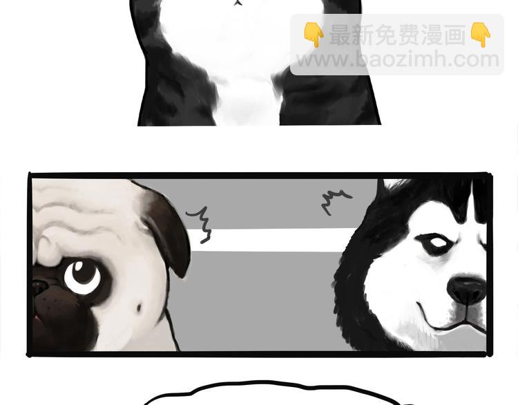 🍘吾皇巴扎黑 第139话 作者的死角 第3页