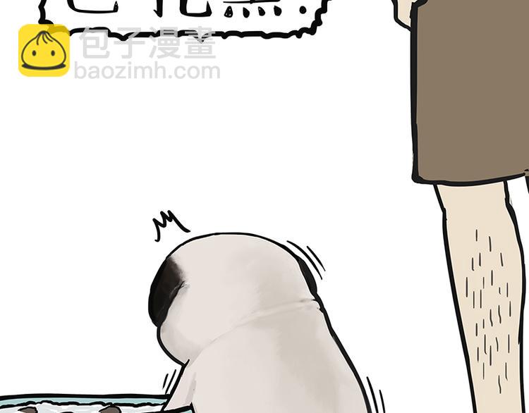 🍘吾皇巴扎黑 第139话 作者的死角 第38页