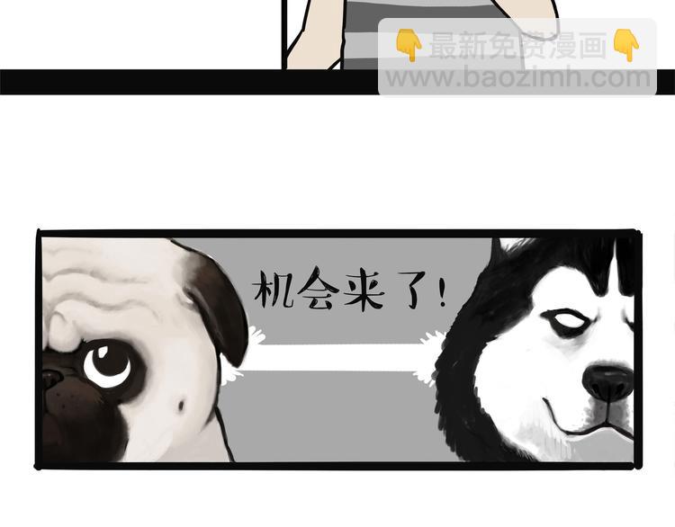 🍘吾皇巴扎黑 第139话 作者的死角 第7页