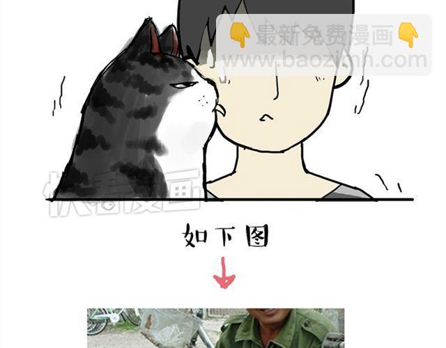 🍘吾皇巴扎黑 第15话 猫引发的朋友圈惨案 第14页