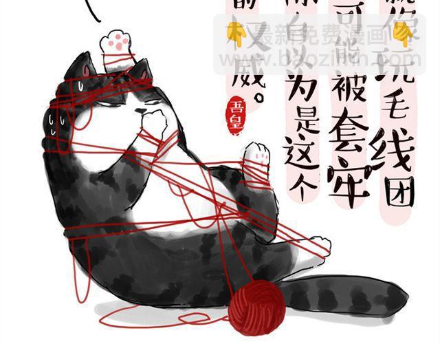 🍘吾皇巴扎黑 第15话 猫引发的朋友圈惨案 第2页