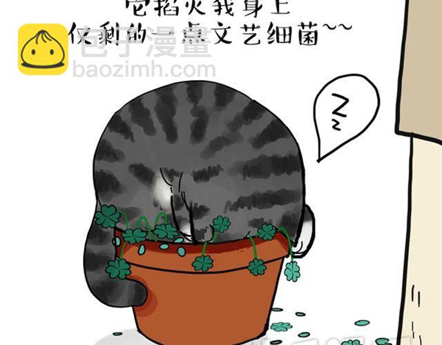 🍘吾皇巴扎黑 第15话 猫引发的朋友圈惨案 第20页