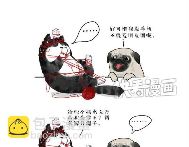 🍘吾皇巴扎黑 第15话 猫引发的朋友圈惨案 第3页