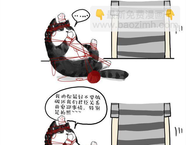 🍘吾皇巴扎黑 第15话 猫引发的朋友圈惨案 第5页