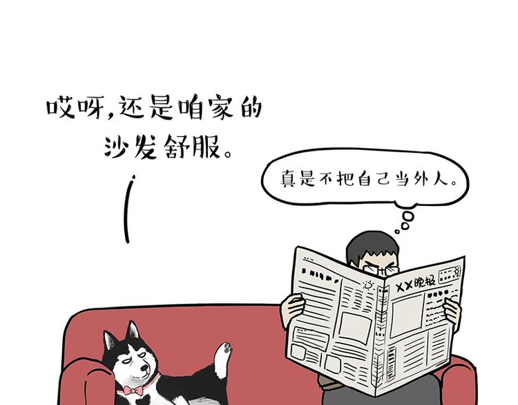 🍘吾皇巴扎黑 第141话 左右为难 第1页
