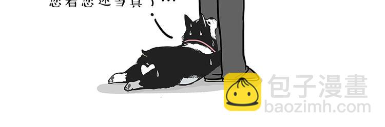 🍘吾皇巴扎黑 第141话 左右为难 第17页