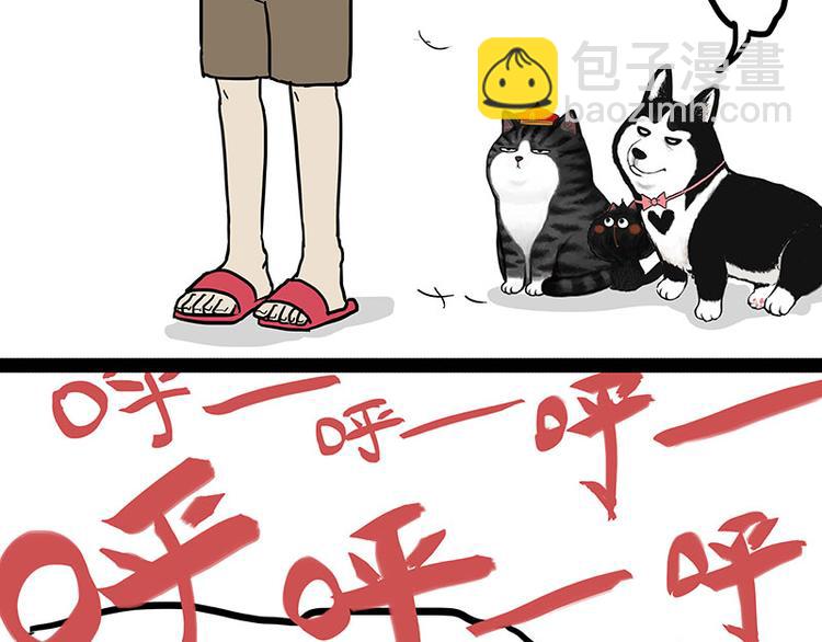 🍘吾皇巴扎黑 第141话 左右为难 第22页