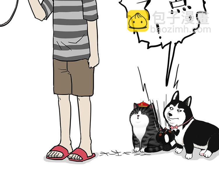 🍘吾皇巴扎黑 第141话 左右为难 第26页