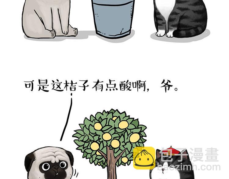 🍘吾皇巴扎黑 第141话 左右为难 第36页