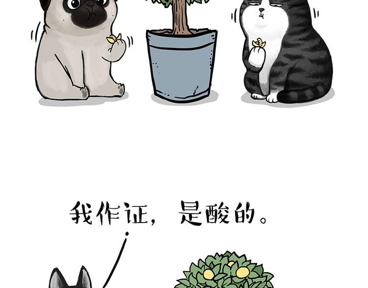🍘吾皇巴扎黑 第141话 左右为难 第38页