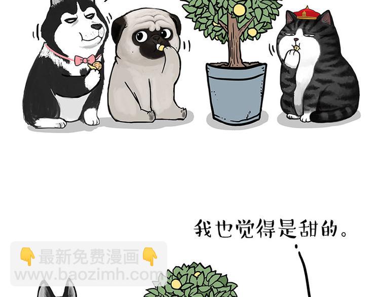 🍘吾皇巴扎黑 第141话 左右为难 第39页