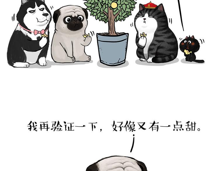 🍘吾皇巴扎黑 第141话 左右为难 第40页