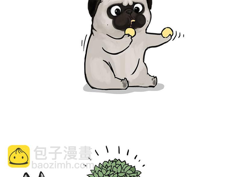 🍘吾皇巴扎黑 第141话 左右为难 第41页