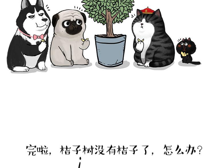 🍘吾皇巴扎黑 第141话 左右为难 第42页