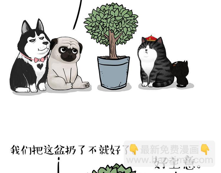 🍘吾皇巴扎黑 第141话 左右为难 第43页