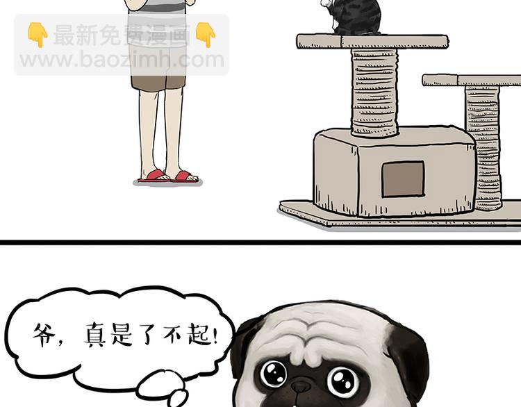 🍘吾皇巴扎黑 第149话 真正的傲娇 第36页