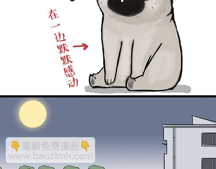 🍘吾皇巴扎黑 第149话 真正的傲娇 第37页