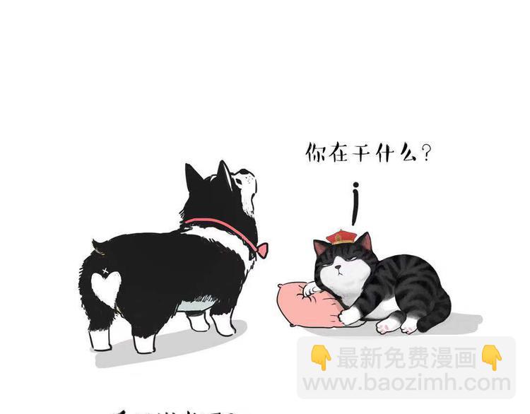 🍘吾皇巴扎黑 第149话 真正的傲娇 第41页